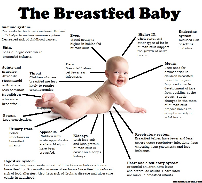 The-Breastfed-Baby-Poster-by-the-Alpha-Parent